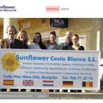 Sunflower Costa Blanca